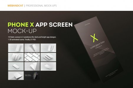 Phone X App Screen Mock-up