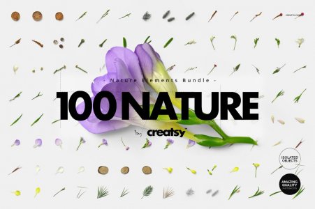 100 Elements Nature Bundle
