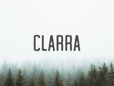 Clarra Sans Serif Family