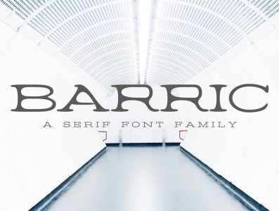 Barric A Serif Font Family