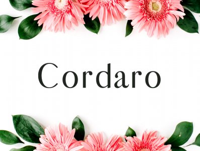 Cordaro Sans Serif Typeface