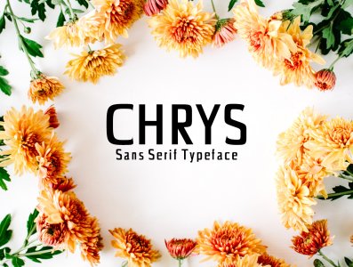 Chrys Sans Serif Typeface