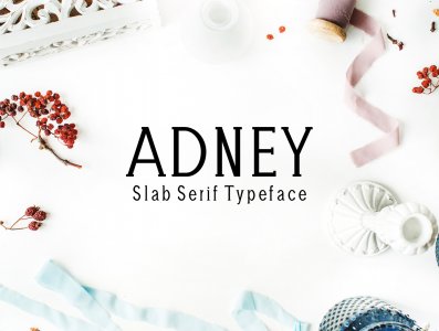 Adney Slab Serif Typeface