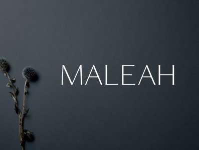 Maleah Sans Serif