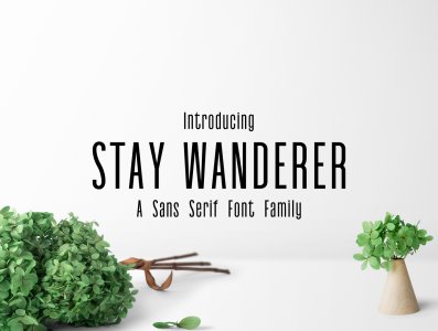 Stay Wanderer