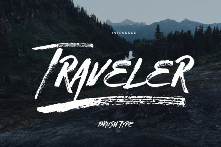 Traveler Brush Type