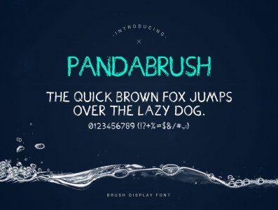 Pandabrush Typeface