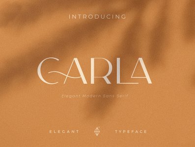 Carla Sans Elegant Typeface