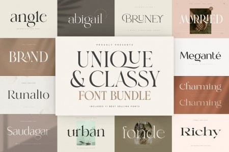 Unique & Classy Modern Font Bundle
