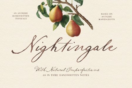 Nightingale Script