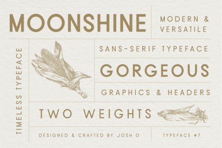 Moonshine Font | Classic Sans Serif