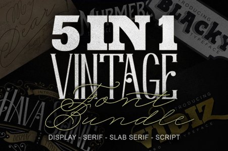 5 IN 1 Vintage Font Bundle